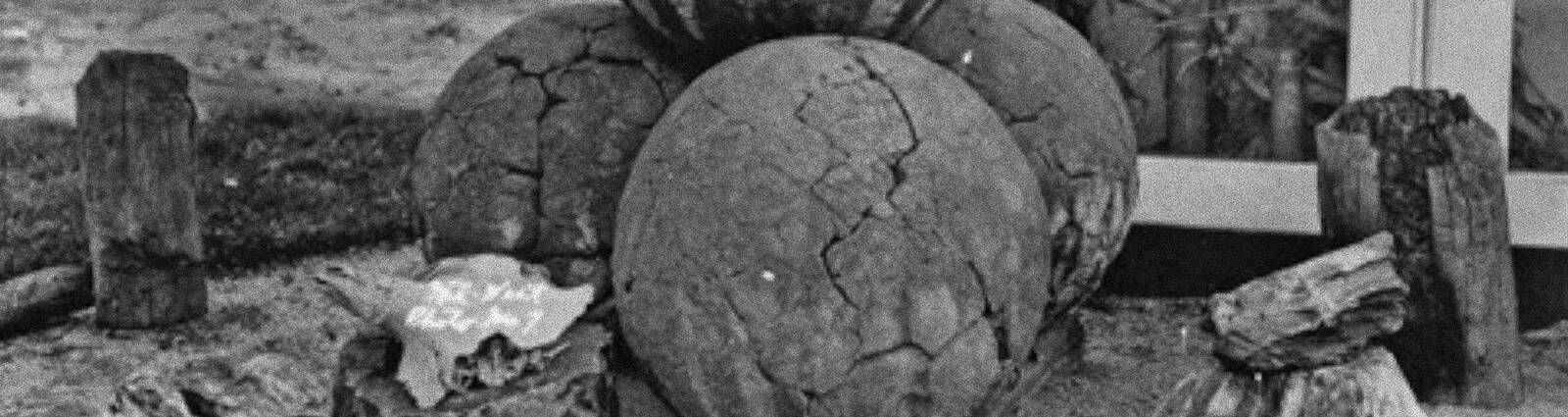 Zwischen Findlingen und Kunstwerken